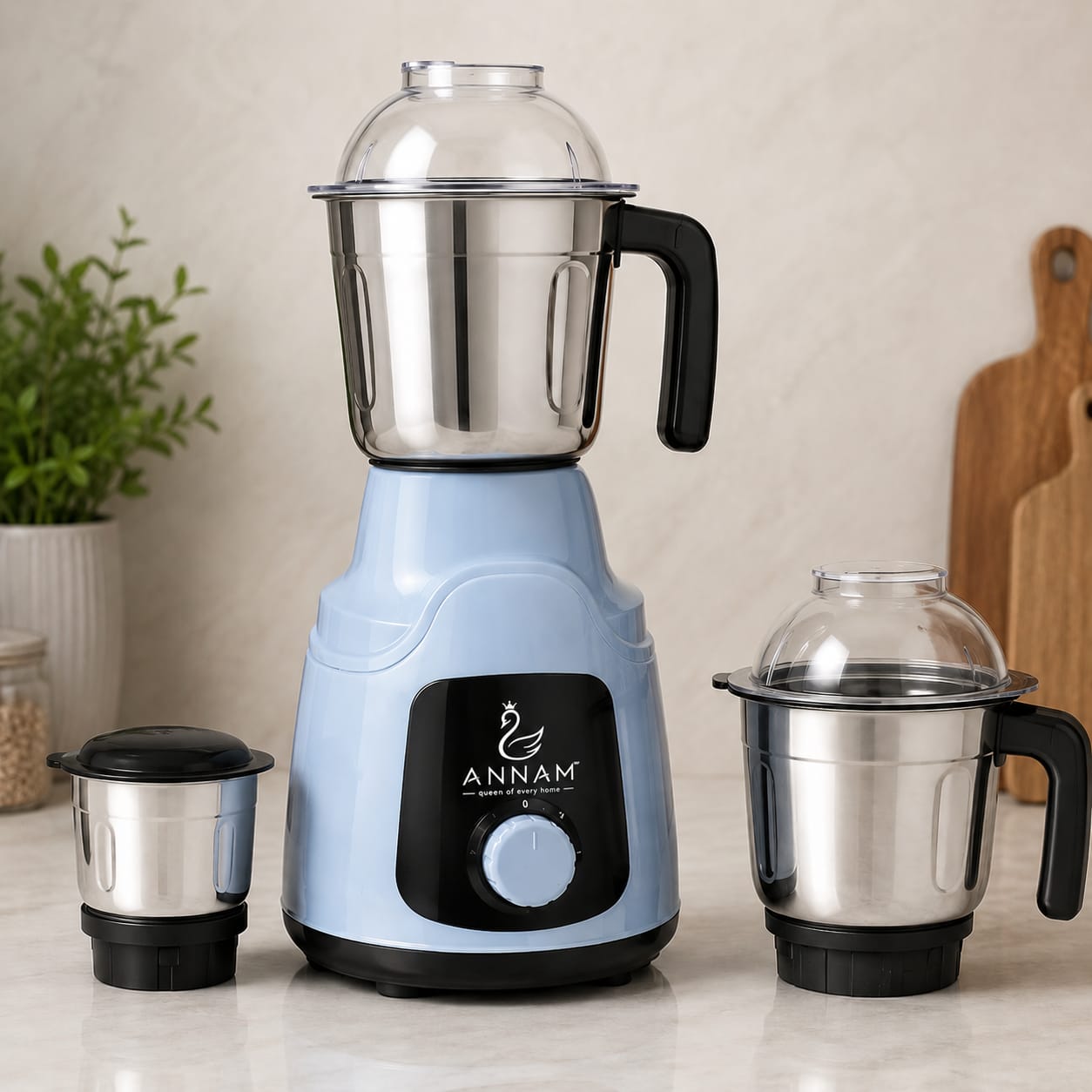 Mixer Grinder (550W Motor)